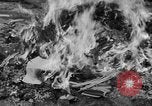 Image of Nazi symbols burnt Cologne Germany, 1945, second 10 stock footage video 65675056426