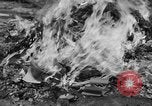 Image of Nazi symbols burnt Cologne Germany, 1945, second 11 stock footage video 65675056426