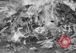 Image of Nazi symbols burnt Cologne Germany, 1945, second 13 stock footage video 65675056426