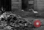 Image of Nazi symbols burnt Cologne Germany, 1945, second 14 stock footage video 65675056426