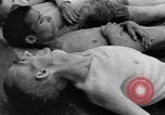 Standbild Konzentrationslager Dachau Dachau Deutschland, 1945, aus Sekunde 42 historischem Filmmaterial Videoclip 65675056432