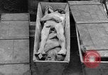 Standbild Konzentrationslager Dachau Dachau Deutschland, 1945, aus Sekunde 61 historischem Filmmaterial Videoclip 65675056432