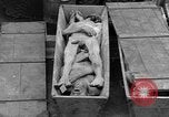 Standbild Konzentrationslager Dachau Dachau Deutschland, 1945, aus Sekunde 62 historischem Filmmaterial Videoclip 65675056432