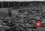 Standbild NS-Konzentrationslager Landsberg Deutschland, 1945, aus Sekunde 17 historischem Filmmaterial Videoclip 65675056434