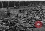 Standbild NS-Konzentrationslager Landsberg Deutschland, 1945, aus Sekunde 18 historischem Filmmaterial Videoclip 65675056434