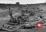 Standbild NS-Konzentrationslager Landsberg Deutschland, 1945, aus Sekunde 31 historischem Filmmaterial Videoclip 65675056434