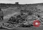 Standbild NS-Konzentrationslager Landsberg Deutschland, 1945, aus Sekunde 37 historischem Filmmaterial Videoclip 65675056434
