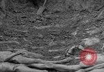 Standbild NS-Konzentrationslager Landsberg Deutschland, 1945, aus Sekunde 62 historischem Filmmaterial Videoclip 65675056434