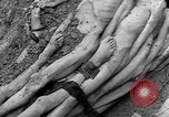 Immagine di Campo di concentramento nazista Landsberg Germania, 1945, secondo 39 filmato di repertorio 65675056435