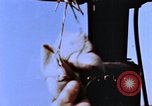 Image of Crew members seen at their respective positions inside a B-26 bomber France, 1945, second 22 stock footage video 65675056442
