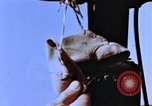 Image of Crew members seen at their respective positions inside a B-26 bomber France, 1945, second 23 stock footage video 65675056442