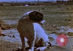 Image of B-26 bombers of 323rd Bomb Group France, 1945, second 3 stock footage video 65675056443