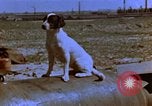 Image of B-26 bombers of 323rd Bomb Group France, 1945, second 7 stock footage video 65675056443