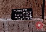 Image au camp de concentration de Buchenwald Buchenwald Allemagne, 1945, de la seconde 4 séquences d'archives historiques vidéo 65675056448