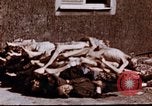 Image au camp de concentration de Buchenwald Buchenwald Allemagne, 1945, de la seconde 9 séquences d'archives historiques vidéo 65675056448