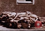 Image au camp de concentration de Buchenwald Buchenwald Allemagne, 1945, de la seconde 10 séquences d'archives historiques vidéo 65675056448