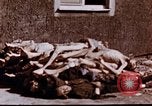 Image au camp de concentration de Buchenwald Buchenwald Allemagne, 1945, de la seconde 11 séquences d'archives historiques vidéo 65675056448