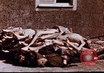 Image au camp de concentration de Buchenwald Buchenwald Allemagne, 1945, de la seconde 13 séquences d'archives historiques vidéo 65675056448