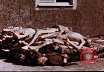Image au camp de concentration de Buchenwald Buchenwald Allemagne, 1945, de la seconde 14 séquences d'archives historiques vidéo 65675056448