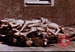 Image au camp de concentration de Buchenwald Buchenwald Allemagne, 1945, de la seconde 15 séquences d'archives historiques vidéo 65675056448