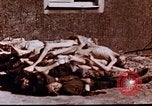 Image au camp de concentration de Buchenwald Buchenwald Allemagne, 1945, de la seconde 16 séquences d'archives historiques vidéo 65675056448