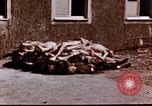Image au camp de concentration de Buchenwald Buchenwald Allemagne, 1945, de la seconde 17 séquences d'archives historiques vidéo 65675056448