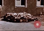 Image au camp de concentration de Buchenwald Buchenwald Allemagne, 1945, de la seconde 21 séquences d'archives historiques vidéo 65675056448