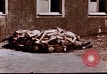 Image au camp de concentration de Buchenwald Buchenwald Allemagne, 1945, de la seconde 22 séquences d'archives historiques vidéo 65675056448