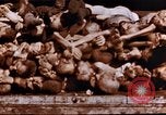 Image au camp de concentration de Buchenwald Buchenwald Allemagne, 1945, de la seconde 26 séquences d'archives historiques vidéo 65675056448