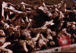 Image au camp de concentration de Buchenwald Buchenwald Allemagne, 1945, de la seconde 29 séquences d'archives historiques vidéo 65675056448