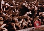Image au camp de concentration de Buchenwald Buchenwald Allemagne, 1945, de la seconde 32 séquences d'archives historiques vidéo 65675056448