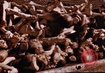 Image au camp de concentration de Buchenwald Buchenwald Allemagne, 1945, de la seconde 33 séquences d'archives historiques vidéo 65675056448
