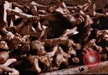 Image au camp de concentration de Buchenwald Buchenwald Allemagne, 1945, de la seconde 34 séquences d'archives historiques vidéo 65675056448