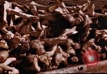 Image au camp de concentration de Buchenwald Buchenwald Allemagne, 1945, de la seconde 35 séquences d'archives historiques vidéo 65675056448