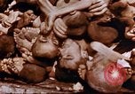 Image au camp de concentration de Buchenwald Buchenwald Allemagne, 1945, de la seconde 37 séquences d'archives historiques vidéo 65675056448