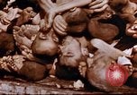 Image au camp de concentration de Buchenwald Buchenwald Allemagne, 1945, de la seconde 39 séquences d'archives historiques vidéo 65675056448