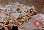 Image au camp de concentration de Buchenwald Buchenwald Allemagne, 1945, de la seconde 48 séquences d'archives historiques vidéo 65675056448