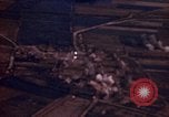 Standbild Strafing deutsche Ziele Deutschland, 1945, aus Sekunde 31 historischem Filmmaterial Videoclip 65675056451