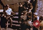 Immagine di Bombardamento di obiettivi tedesco Germania, 1945, secondo 49 filmato di repertorio 65675056452