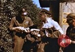 Immagine di Bombardamento di obiettivi tedesco Germania, 1945, secondo 58 filmato di repertorio 65675056452