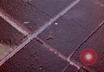 Image of Strafing German targets Germany, 1945, second 39 stock footage video 65675056454
