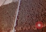 Image of Strafing German targets Germany, 1945, second 43 stock footage video 65675056454