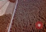 Image of Strafing German targets Germany, 1945, second 44 stock footage video 65675056454