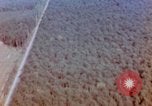 Image of Strafing German targets Germany, 1945, second 45 stock footage video 65675056454
