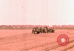 Immagine di Xi Divisione Corazzate Germania, 1945, secondo 16 filmato di repertorio 65675056458