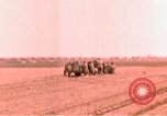 Immagine di Xi Divisione Corazzate Germania, 1945, secondo 17 filmato di repertorio 65675056458