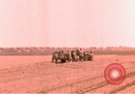 Immagine di Xi Divisione Corazzate Germania, 1945, secondo 18 filmato di repertorio 65675056458