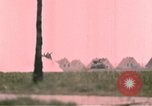 Immagine di Xi Divisione Corazzate Germania, 1945, secondo 41 filmato di repertorio 65675056458