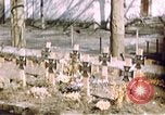 Image 11e Division blindée Allemagne, 1945, de la seconde 54 séquences d'archives historiques vidéo 65675056462