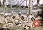 Image 11e Division blindée Allemagne, 1945, de la seconde 55 séquences d'archives historiques vidéo 65675056462